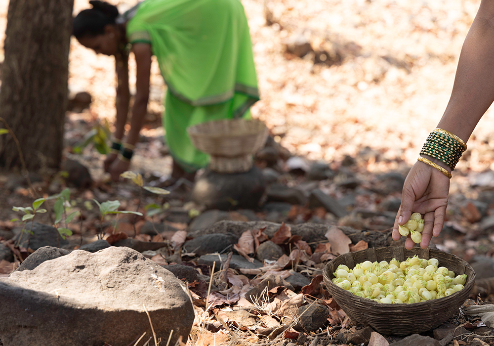 Madhua Preparation Best Indian Single malt whisky