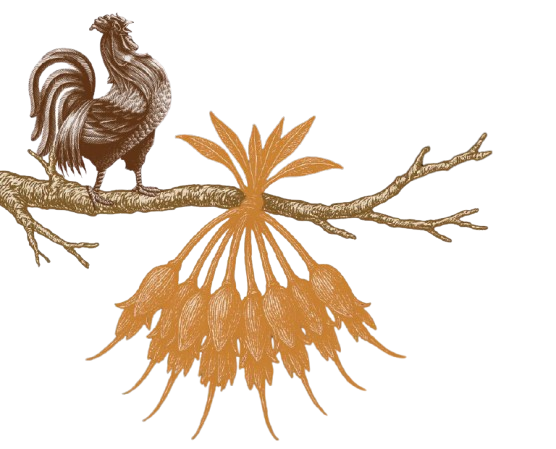 Crazy Cock Madhuca mahua inspired Indian whisky artwork