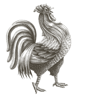 Rooster Decoration