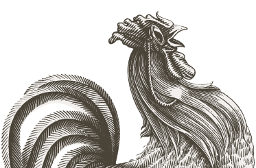 Crazy cock - Good Indian single malt whisky - brand showcase