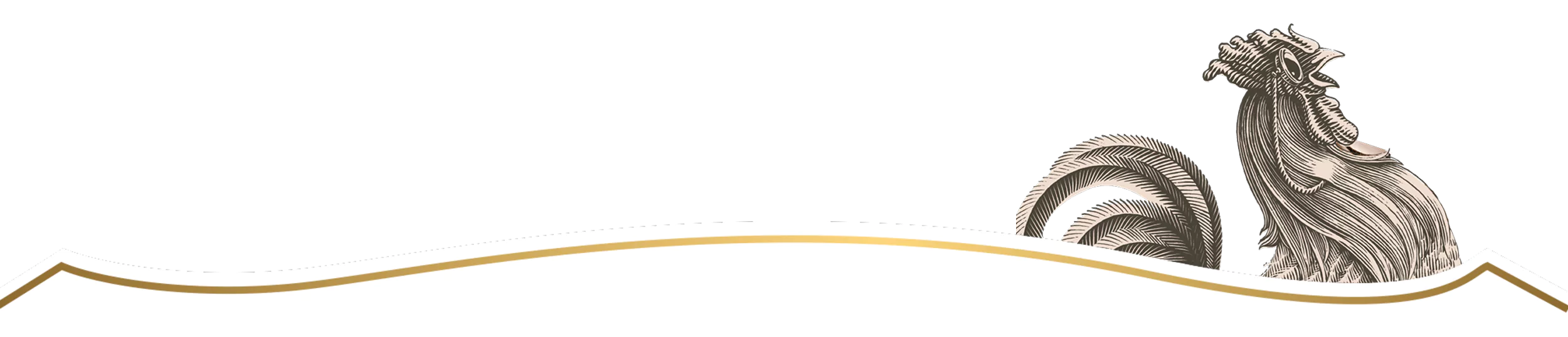 Rooster brand illustration